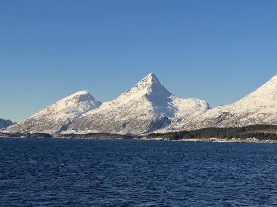 Img 0781