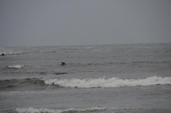 Islande 02.2013 020