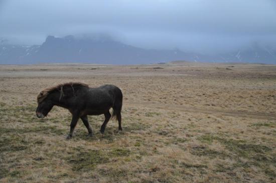 Islande 02.2013 022