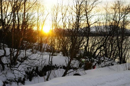 Juste à côté du quai, à Finnsnes...