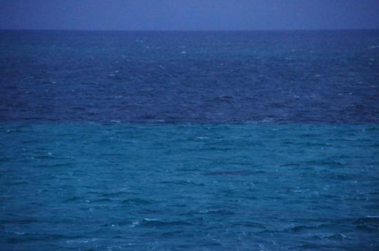 On pourrait se croire dans les mers du sud...