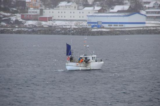 Tout au long de la côte, des petits bateaux de pêcheurs