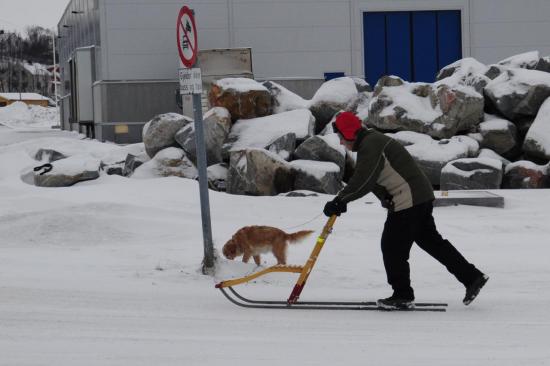 le mode de transport local !