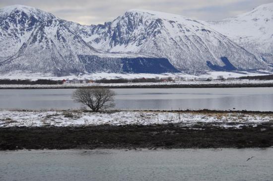 Norvège 02.2018 416