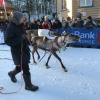 Diverses animations en ville à l'occasion de la fête annuelle du peuple Sami