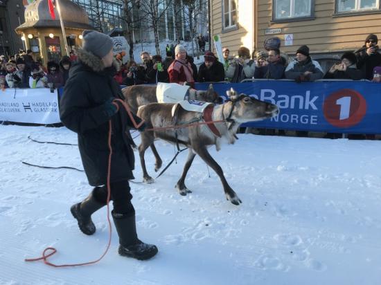 Diverses animations en ville à l'occasion de la fête annuelle du peuple Sami