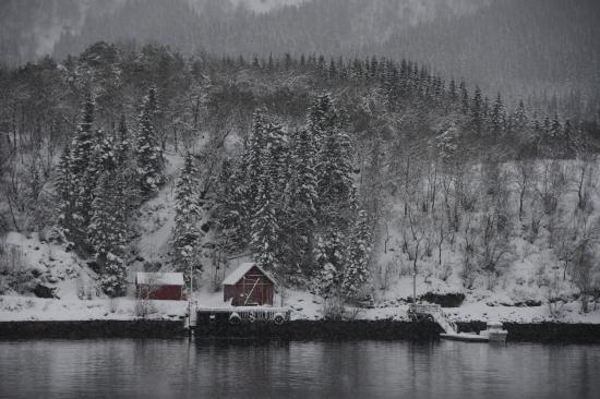 Norvège 02.2020 097