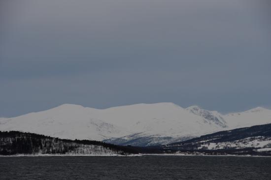 Norvège 02.2020 167
