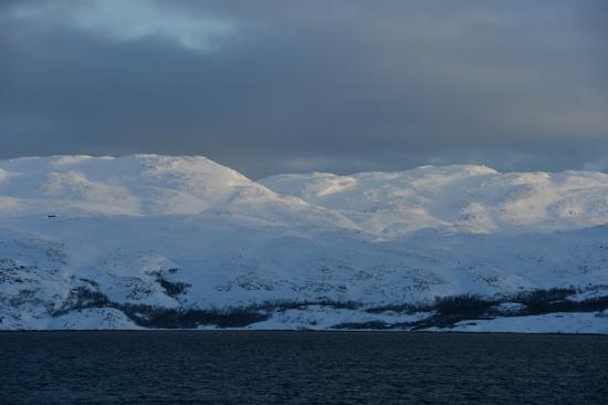 Norvège 02.2020 318