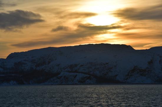 Norvège 02.2020 325