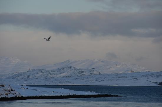 Norvège 02.2020 329