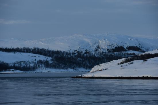 Norvège 02.2020 330