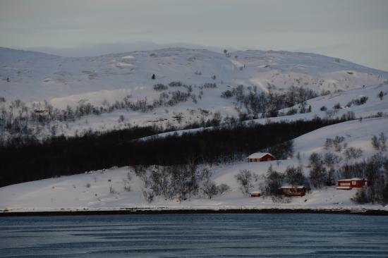 Norvège 02.2020 335