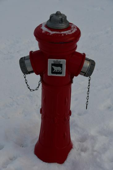 Norvège 02.2020 403