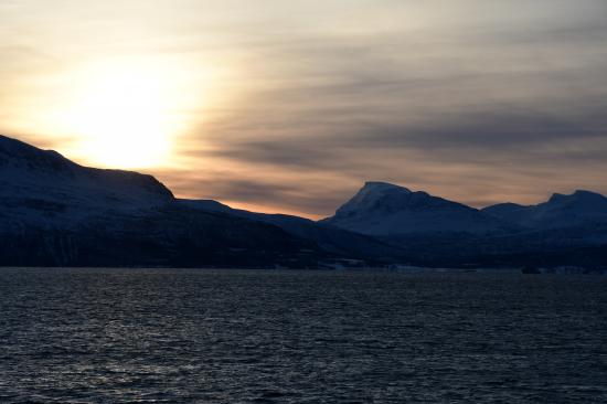 Norvège 02.2020 425