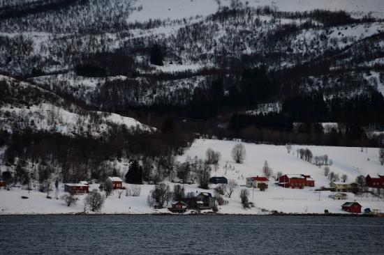 Norvège 02.2020 440
