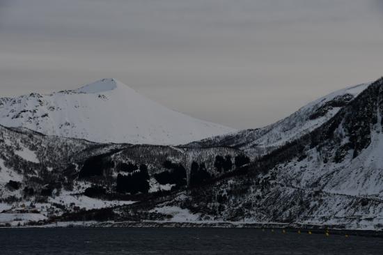 Norvège 02.2020 446