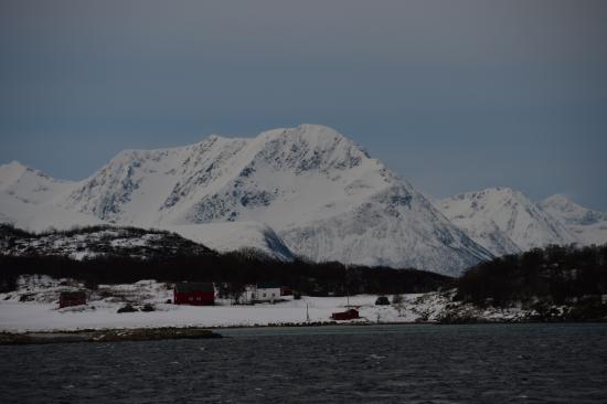 Norvège 02.2020 450