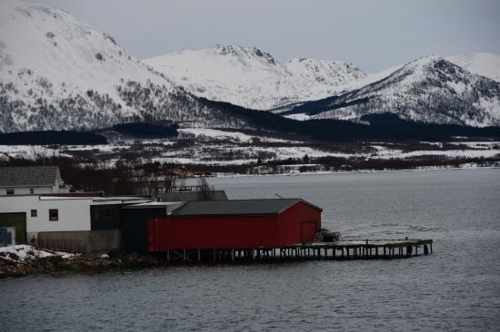 Risøyhamn