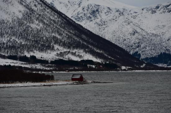 Norvège 02.2020 486