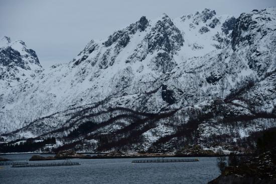 Norvège 02.2020 502