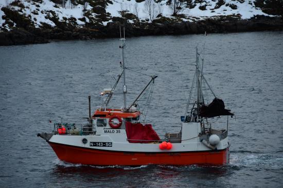 Norvège 02.2020 506