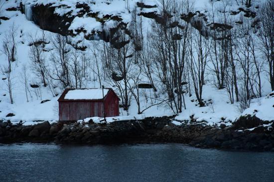 Norvège 02.2020 511