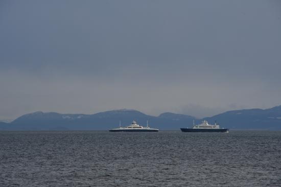 Norvège 02.2020 580