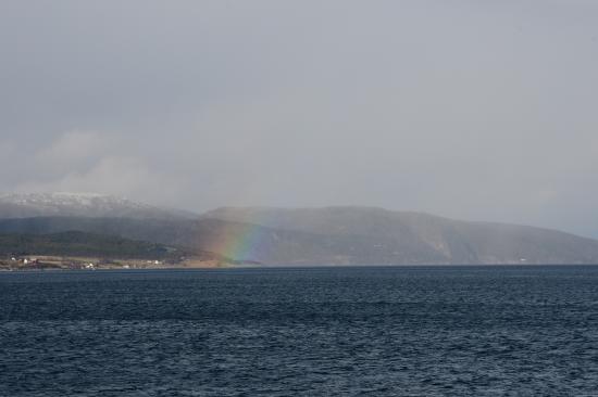 Norvège 02.2020 602