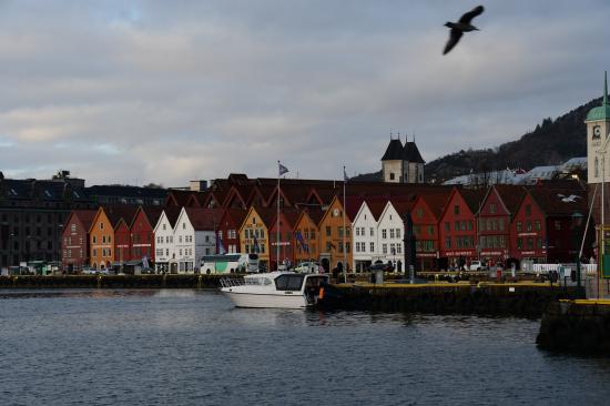 Norvège 02.2020 663